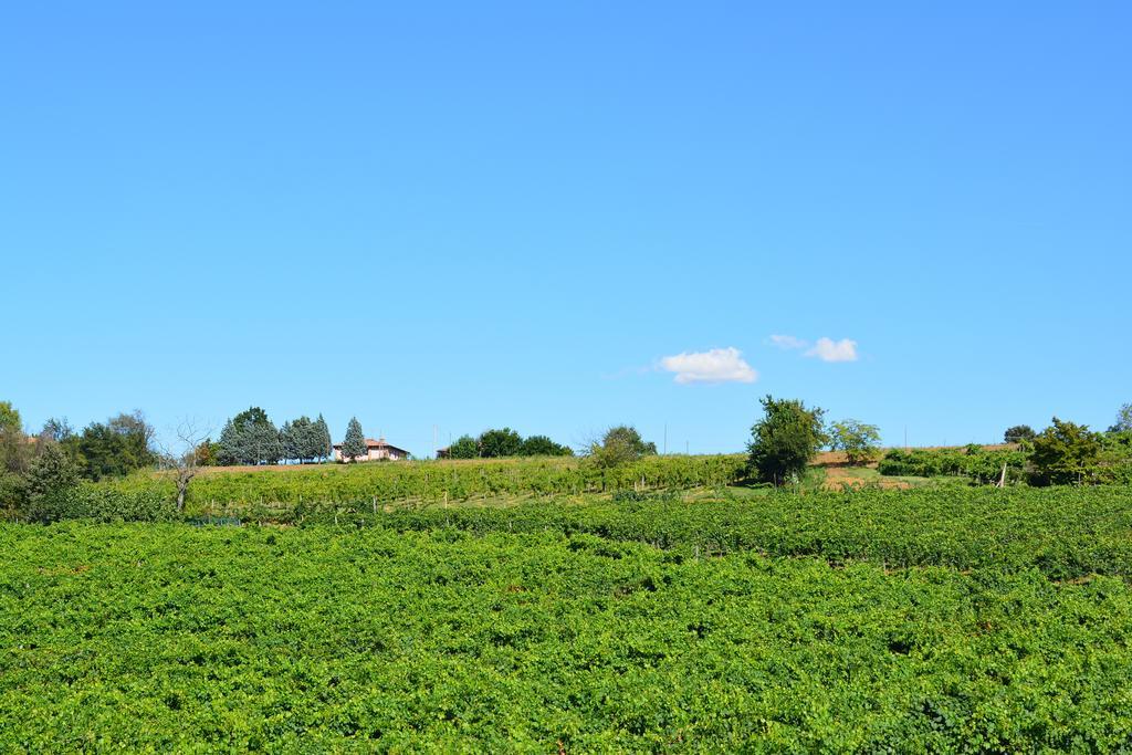 Le Stanze Di Bacco Villa Monteveglio Exterior photo