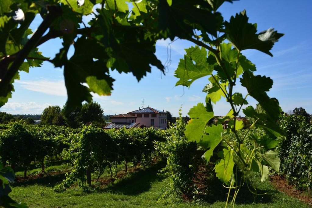 Le Stanze Di Bacco Villa Monteveglio Exterior photo